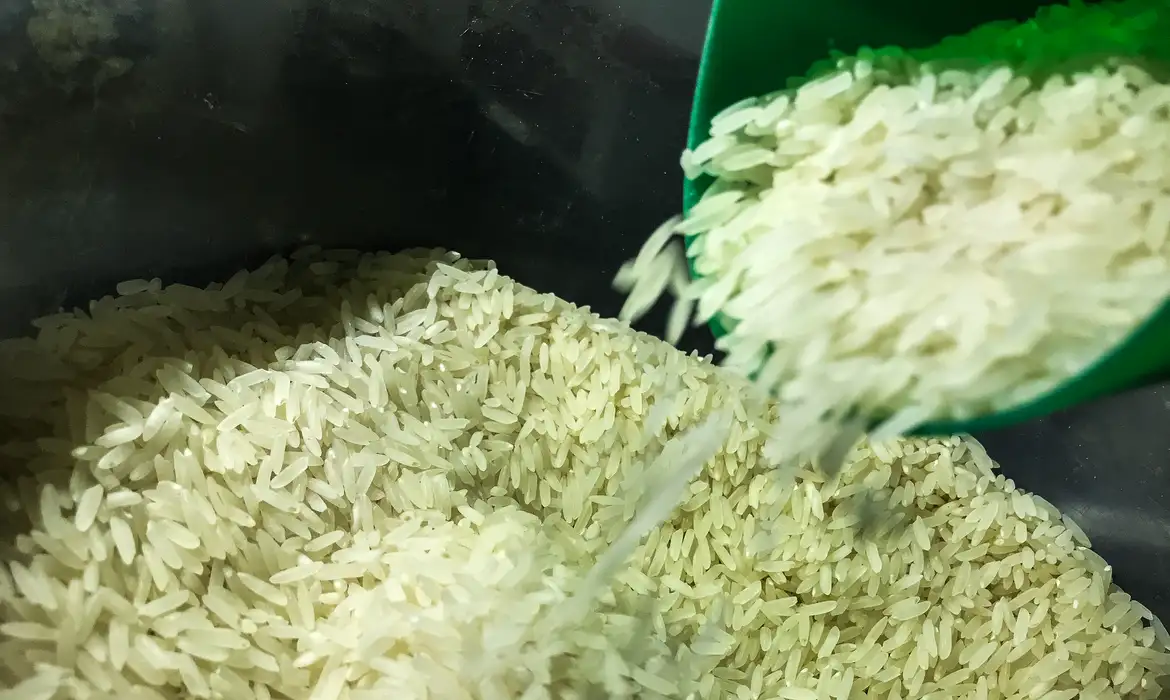 Novo aciona Justiça para importar arroz estatal